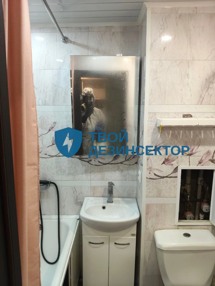 Дезинфекция квартиры от клопов в Зеленограде